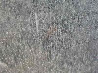 DSCN3065.JPG