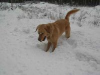 DSCN3171.JPG