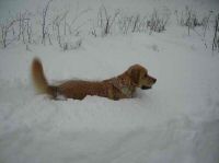 DSCN3181.JPG