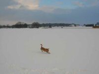 DSCN3230.JPG